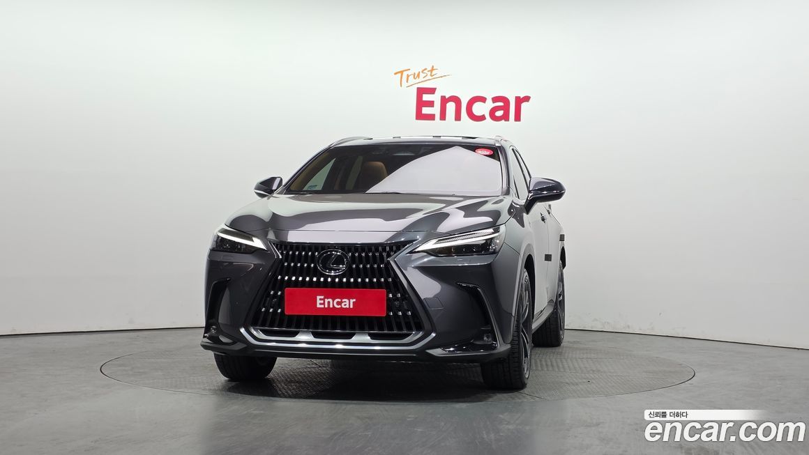 Lexus NX 2024