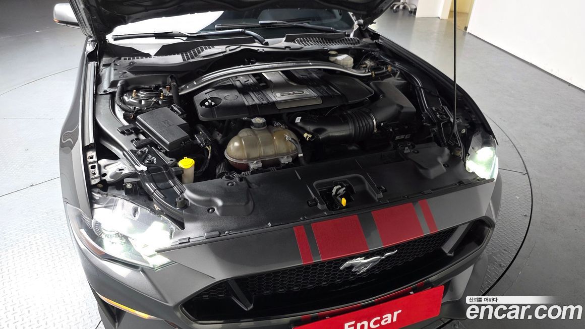 Ford Mustang 2019