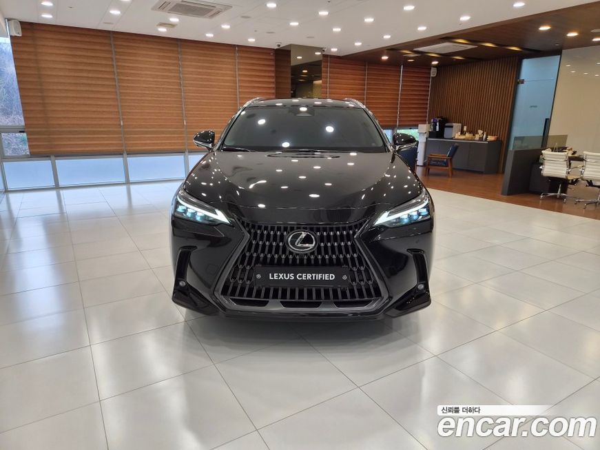 Lexus NX 2025