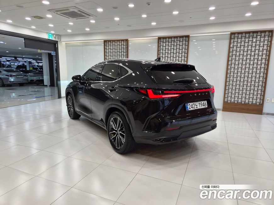 Lexus NX 2025