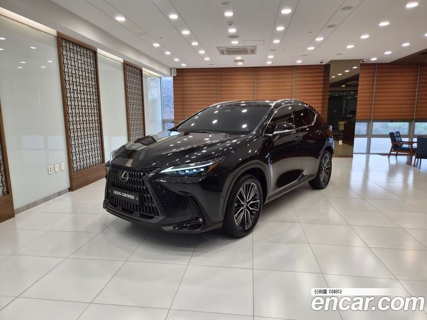 Lexus NX 2025