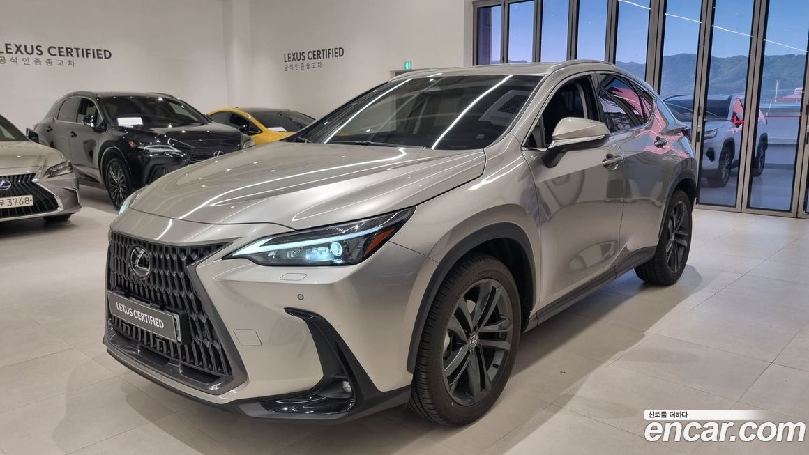 Lexus NX 2025