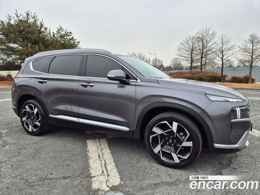 Hyundai Santafe 2021