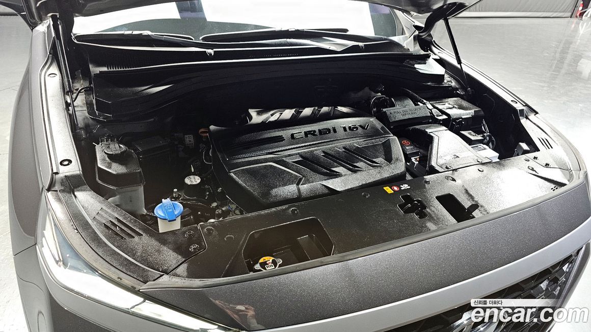 Hyundai Santafe 2019