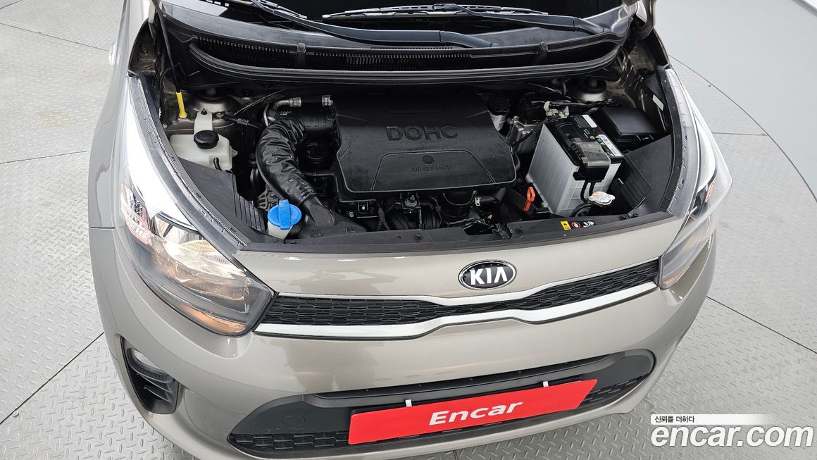 Kia morning 2019