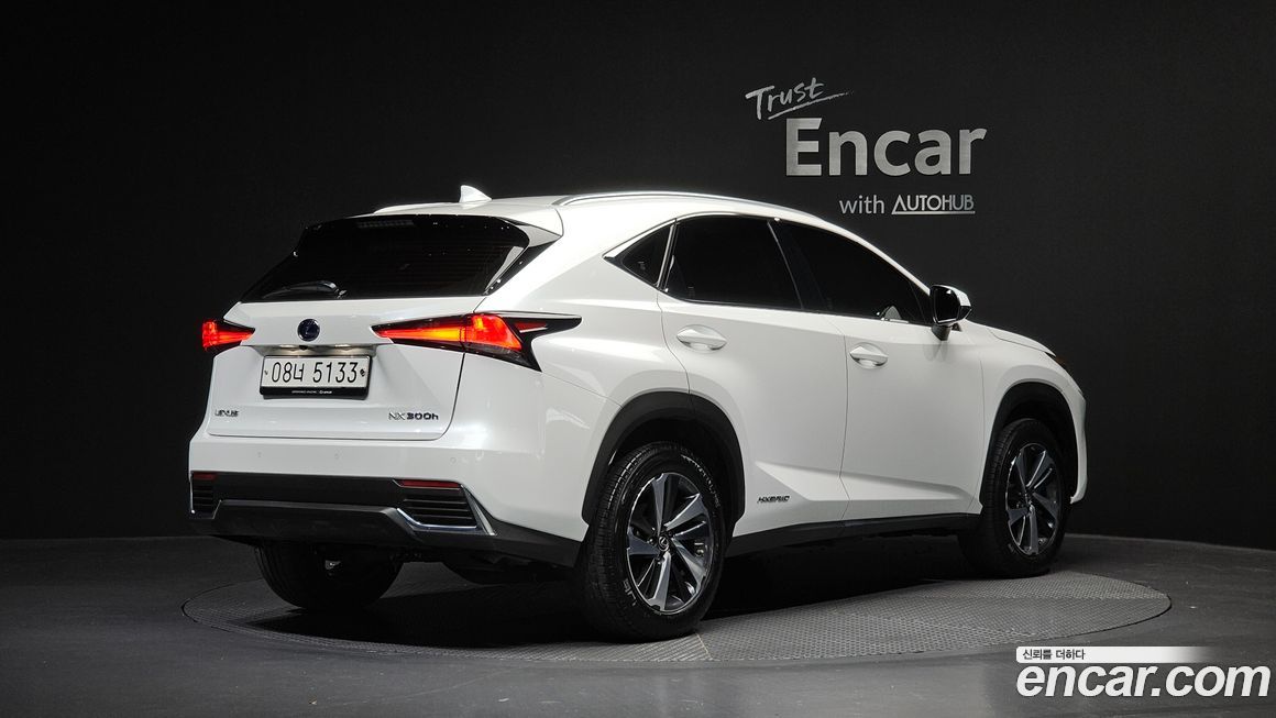 Lexus NX 2018