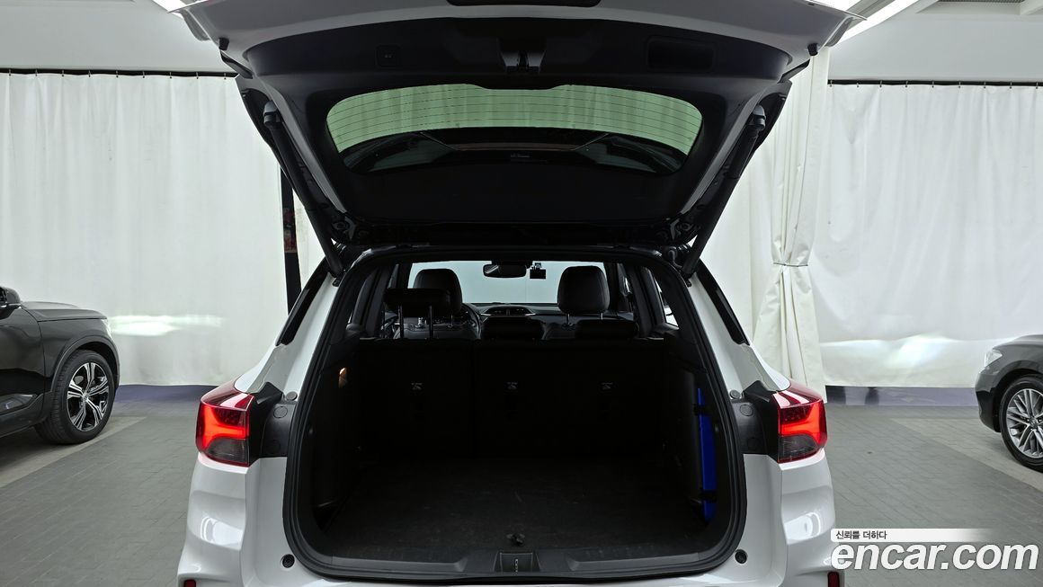 ChevroletGMDaewoo Trailblazer 2021