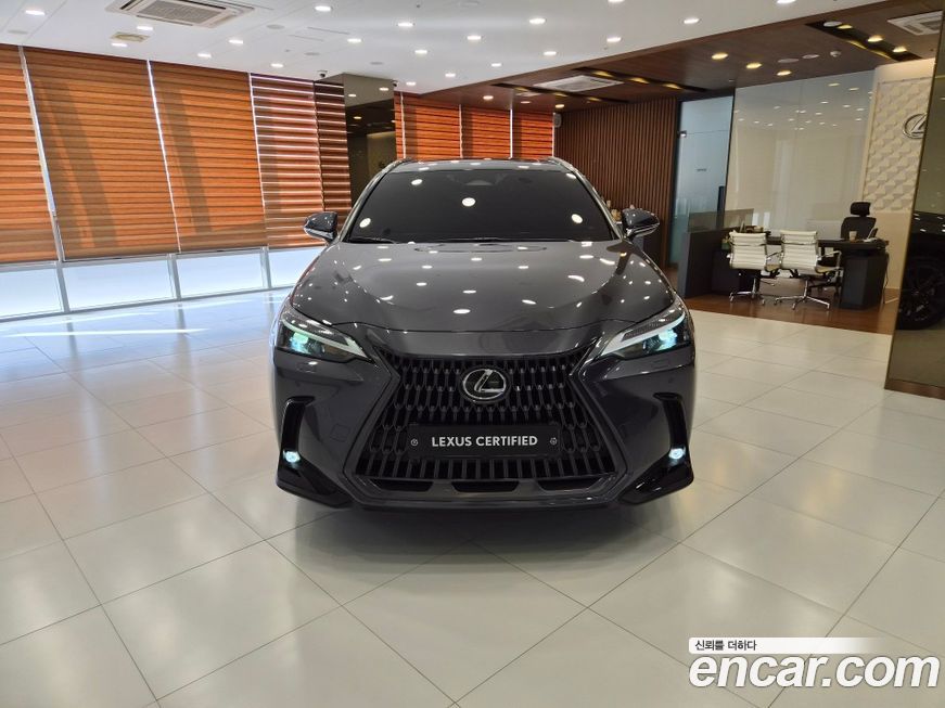 Lexus NX 2025