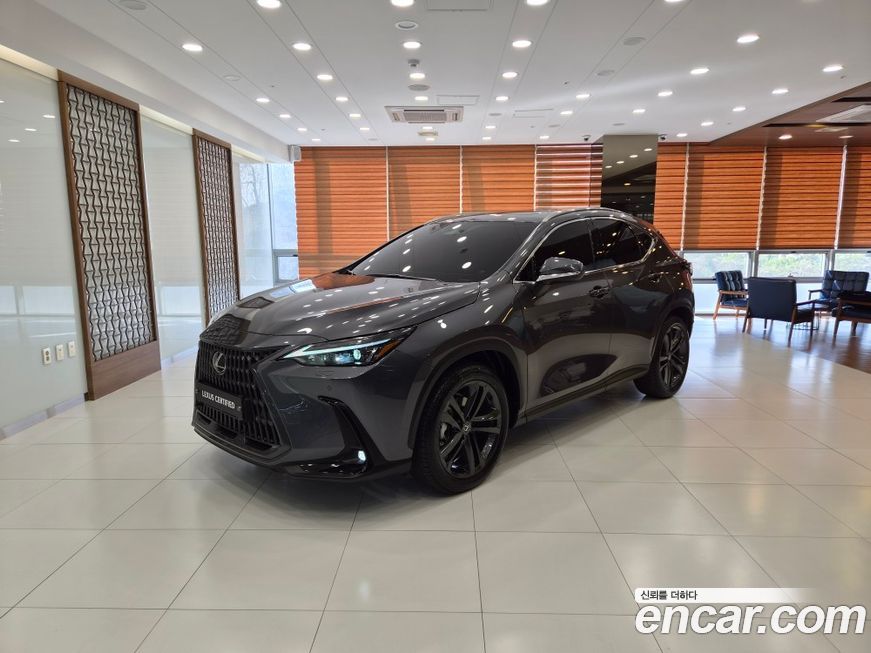 Lexus NX 2025