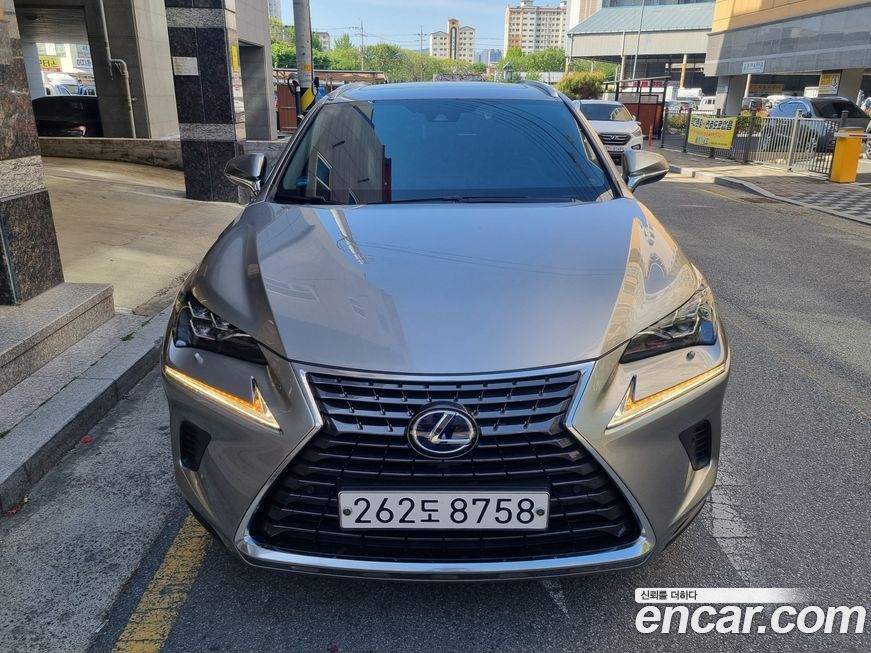 Lexus NX 2021