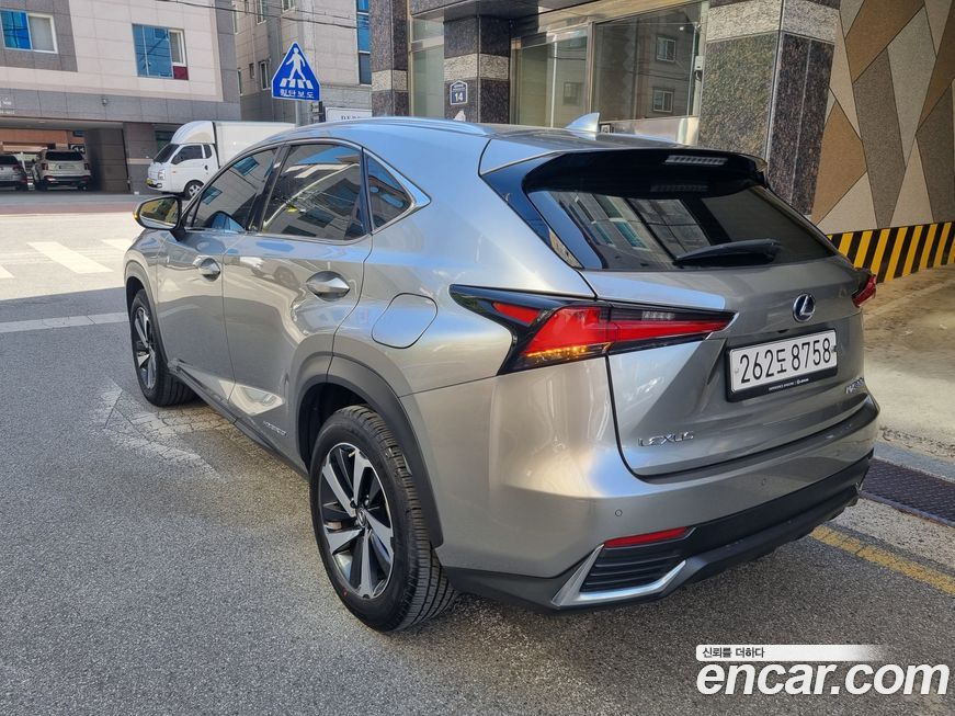 Lexus NX 2021