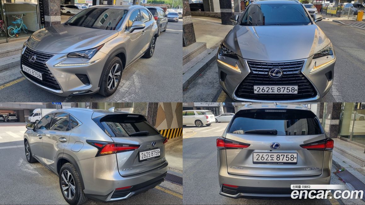 Lexus NX 2021