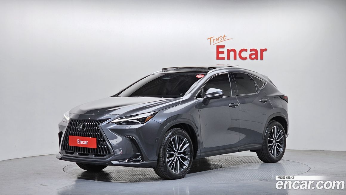Lexus NX 2025