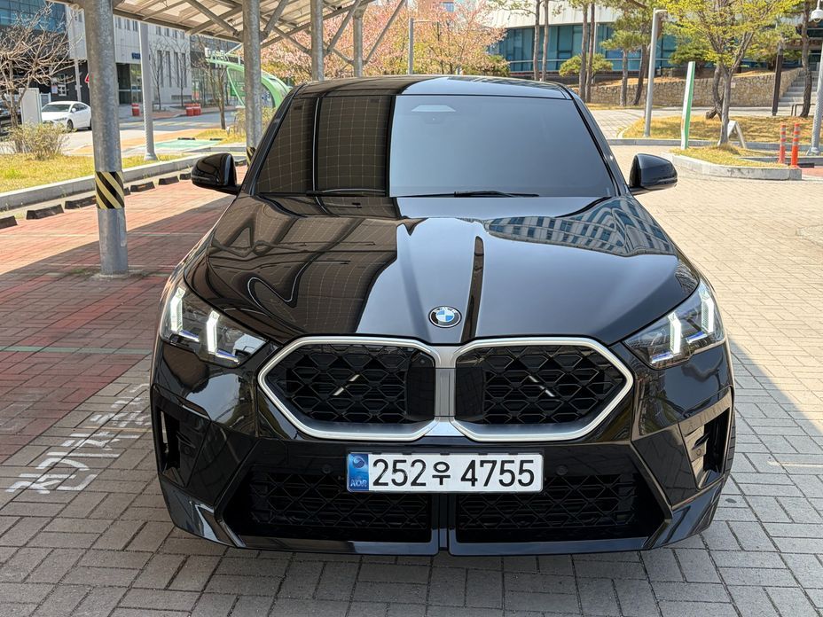 BMW X2 (F39) 2024
