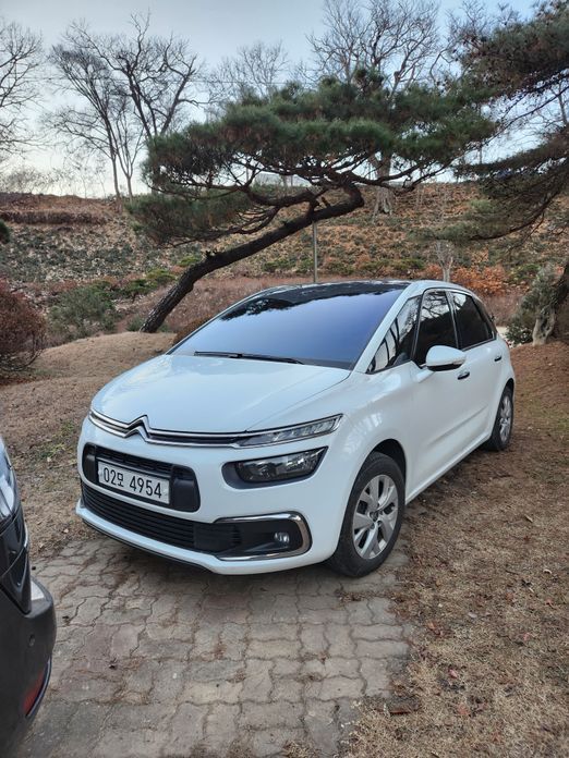 Citroen-DS C4 Picasso 2018