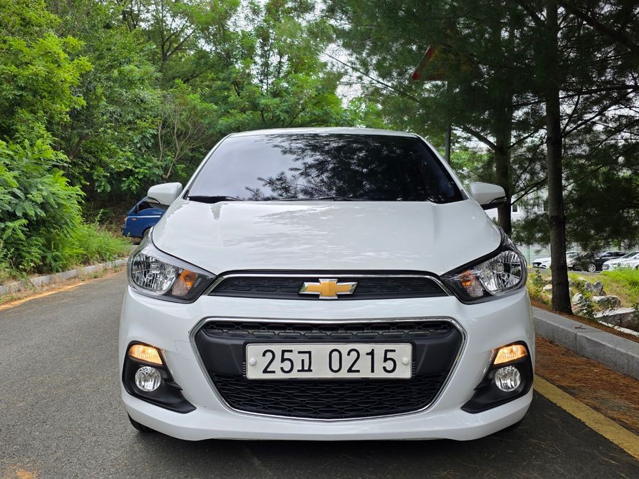ChevroletGMDaewoo Spark 2017