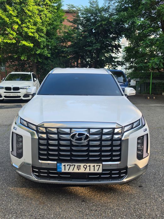 Hyundai Palisade 2024