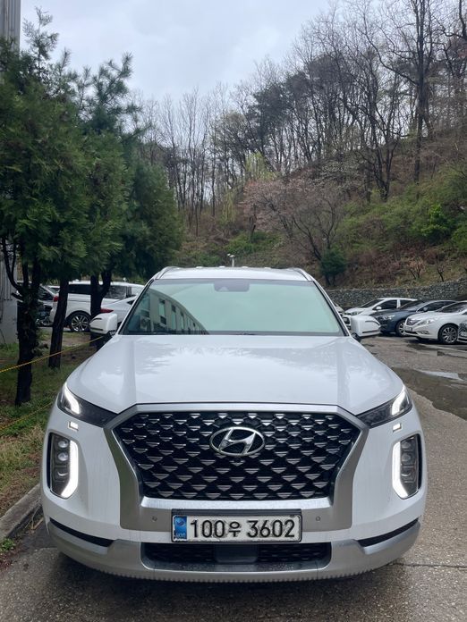 Hyundai Palisade 2021