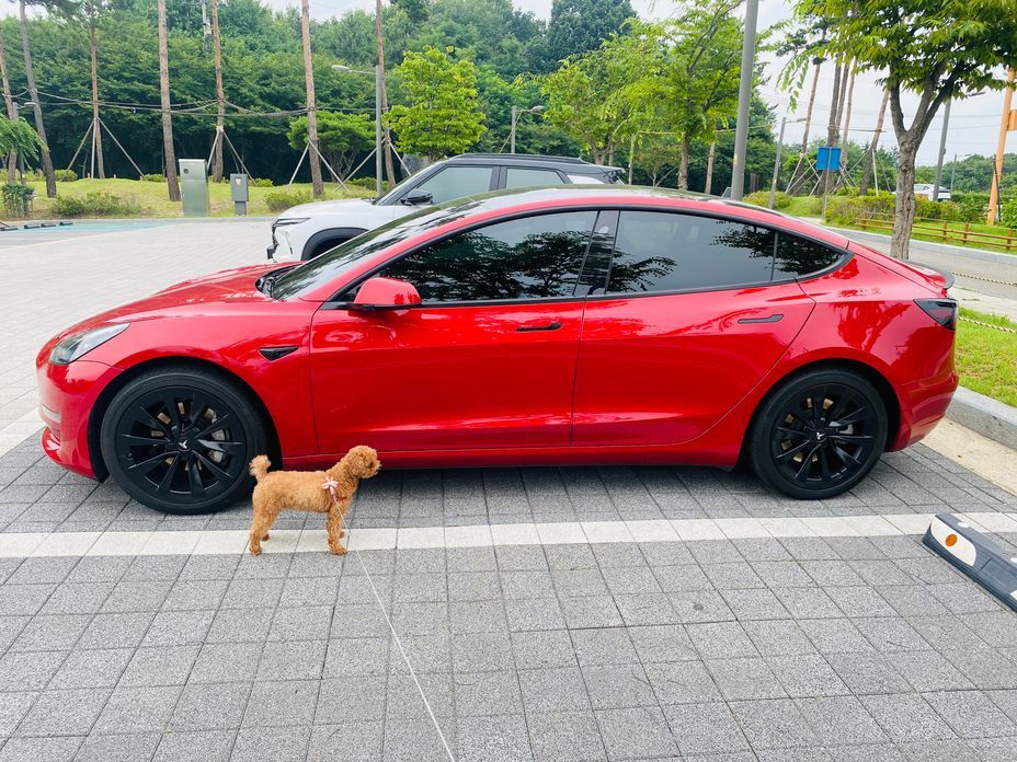 Tesla Model 3 2022