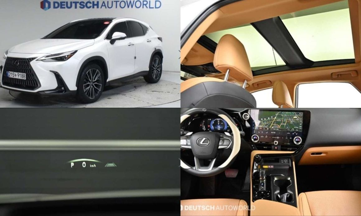 Lexus NX 2025