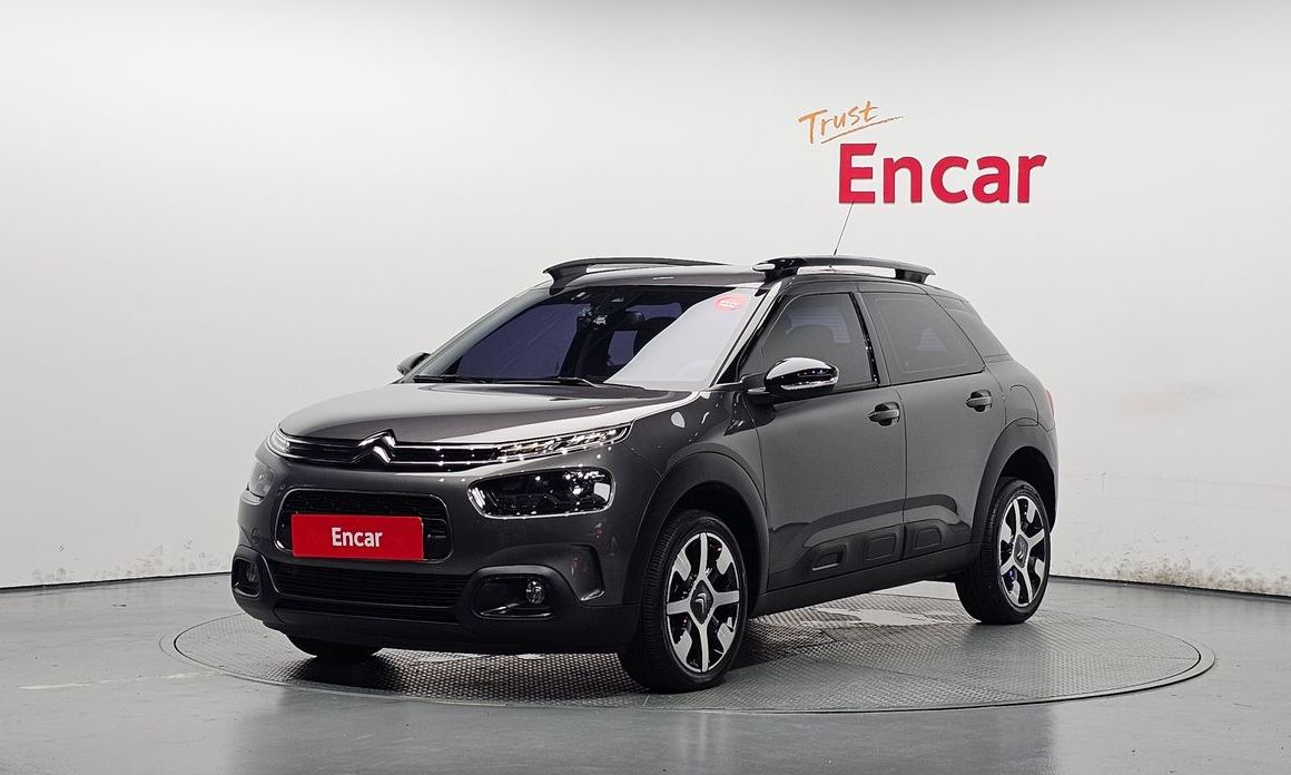 Citroen-DS C4 CACTUS 2019