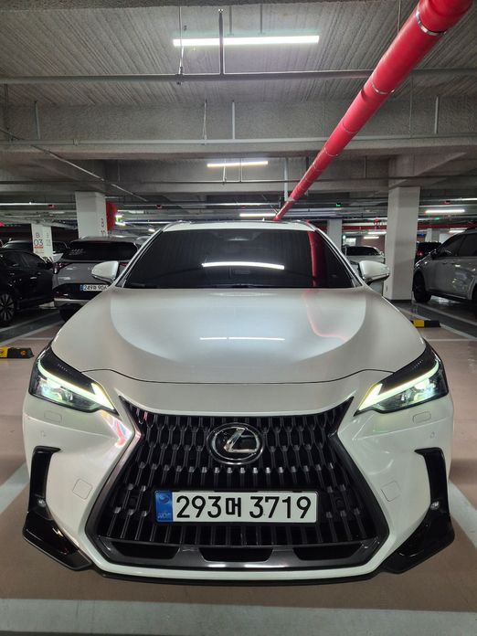 Lexus NX 2025