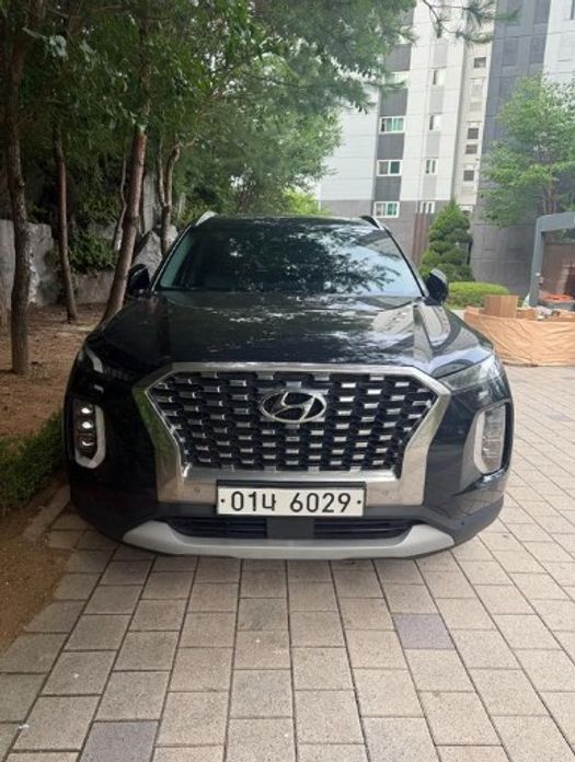 Hyundai Palisade 2019