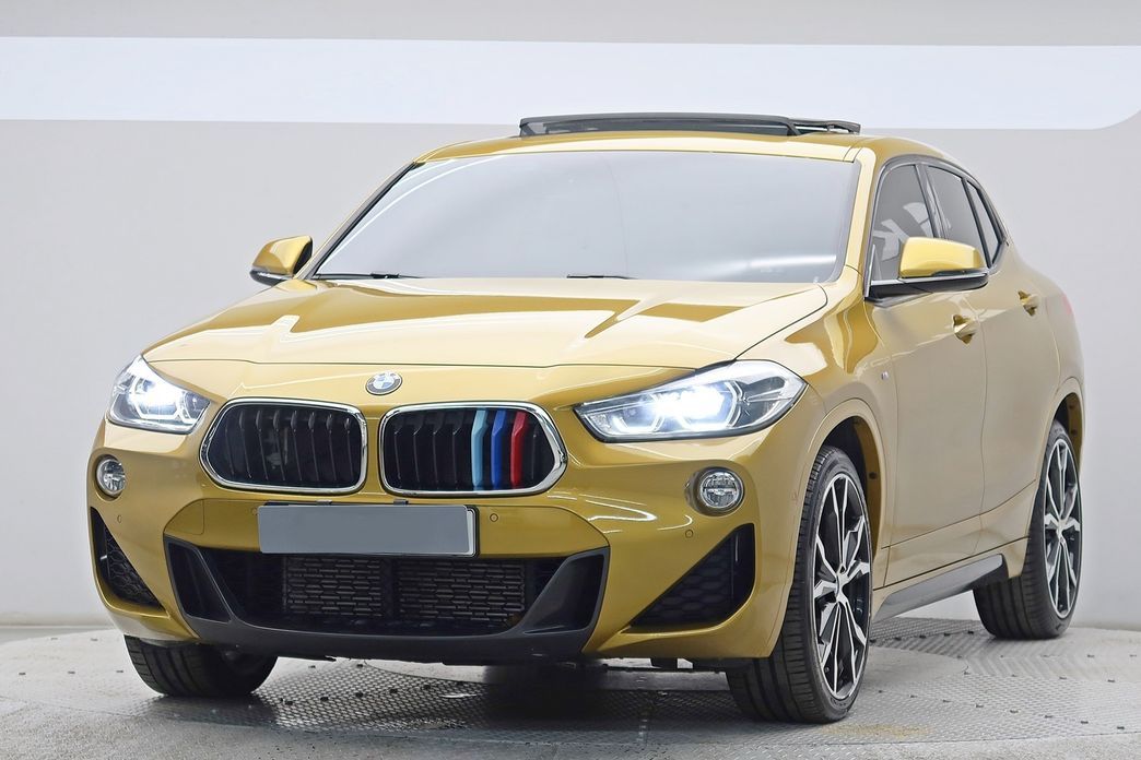 BMW X2 (F39) 2019