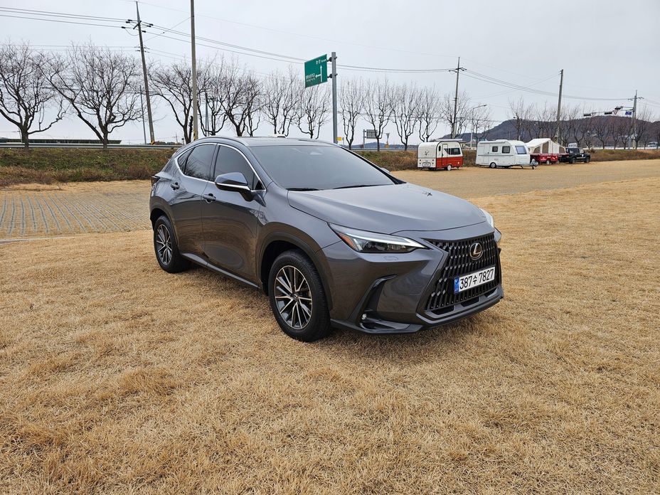 Lexus NX 2024