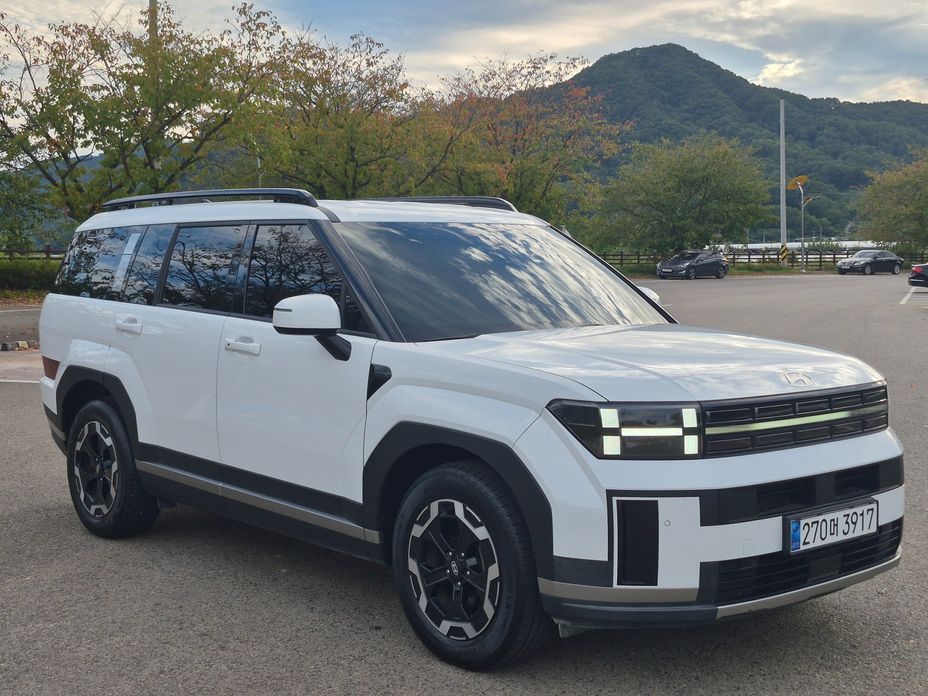 Hyundai Santafe 2024