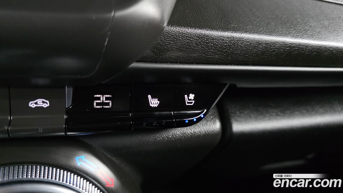 ChevroletGMDaewoo Camaro 2021