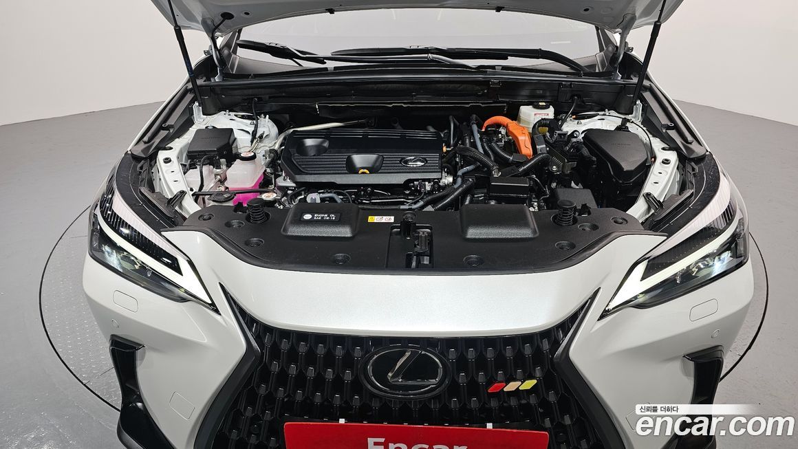 Lexus NX 2024