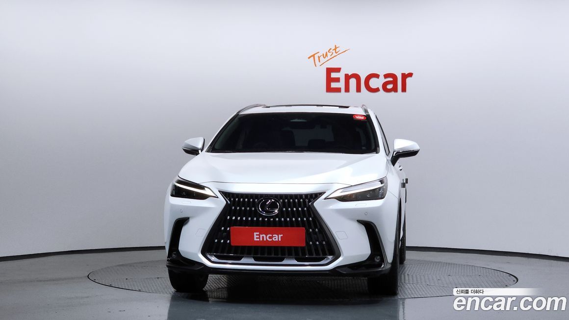 Lexus NX 2023