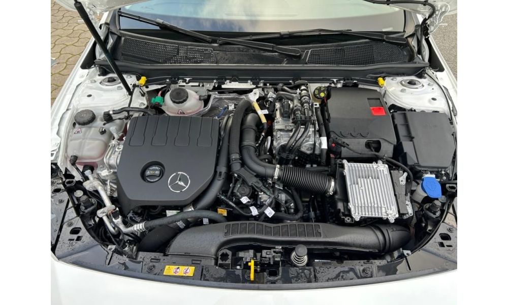 254703