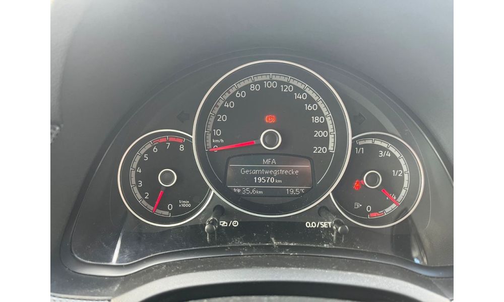 281819