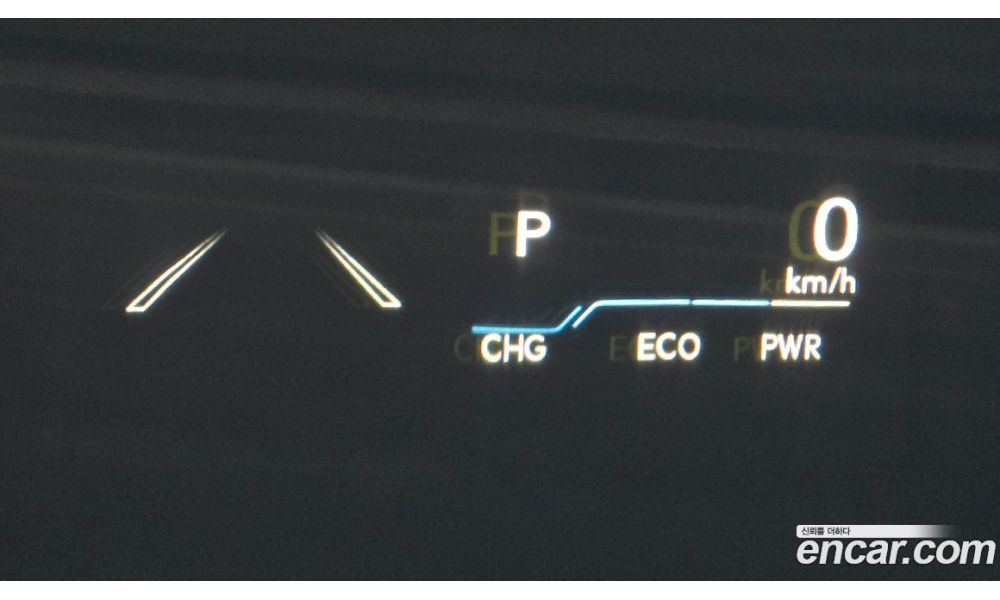 260291