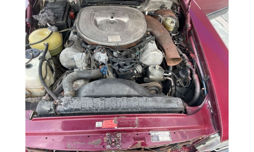 254881