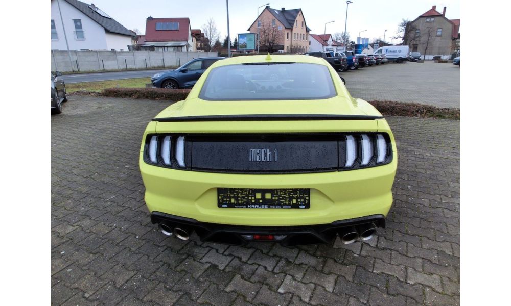 30564