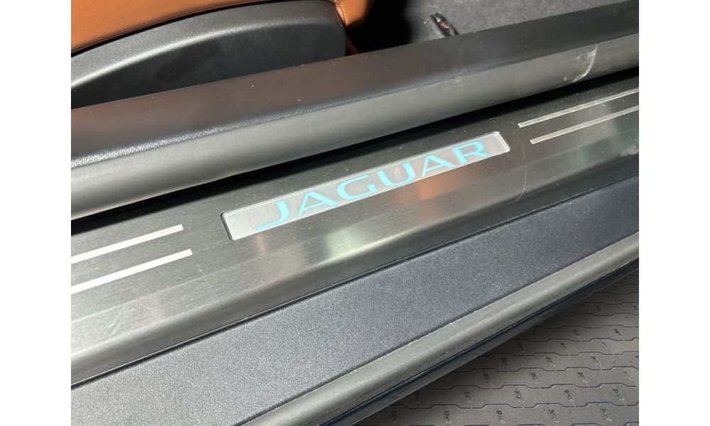 264894