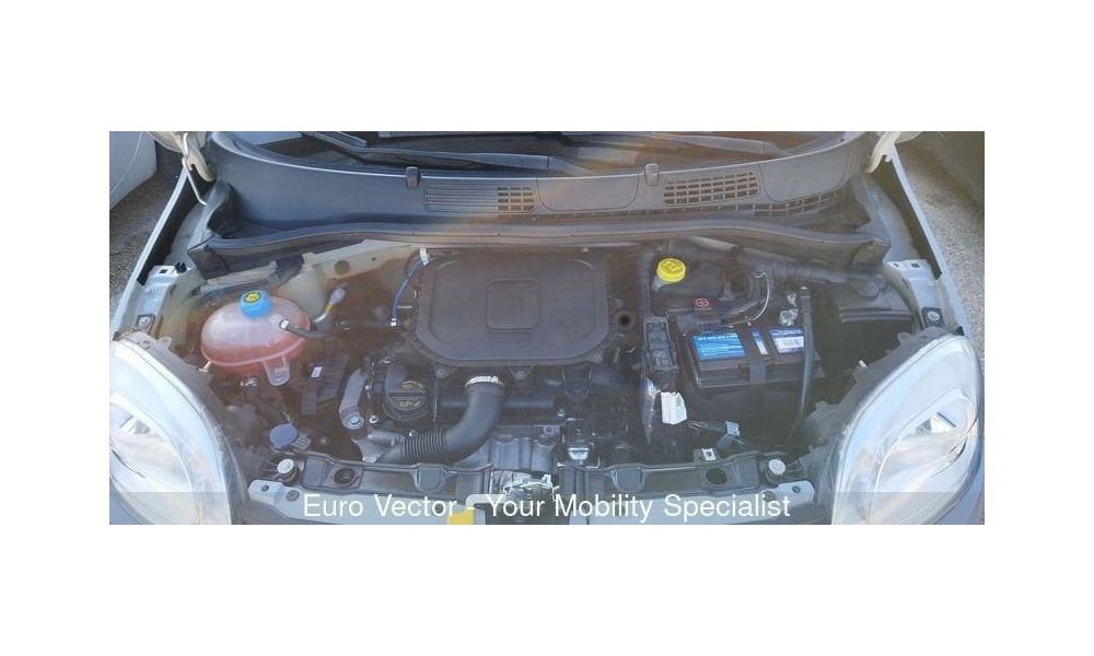21294
