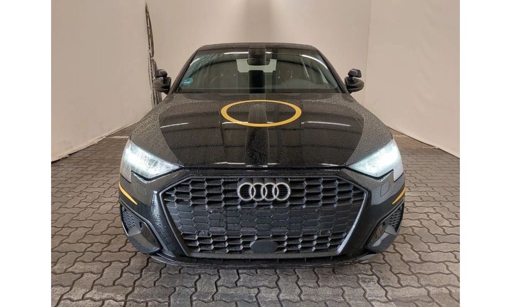 444946