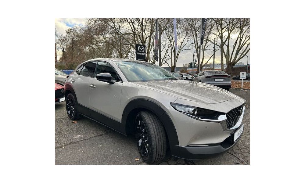 558202