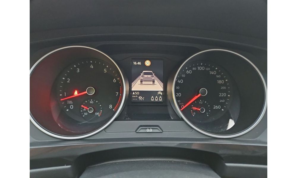 25019