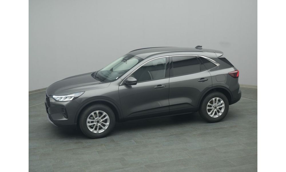 95031