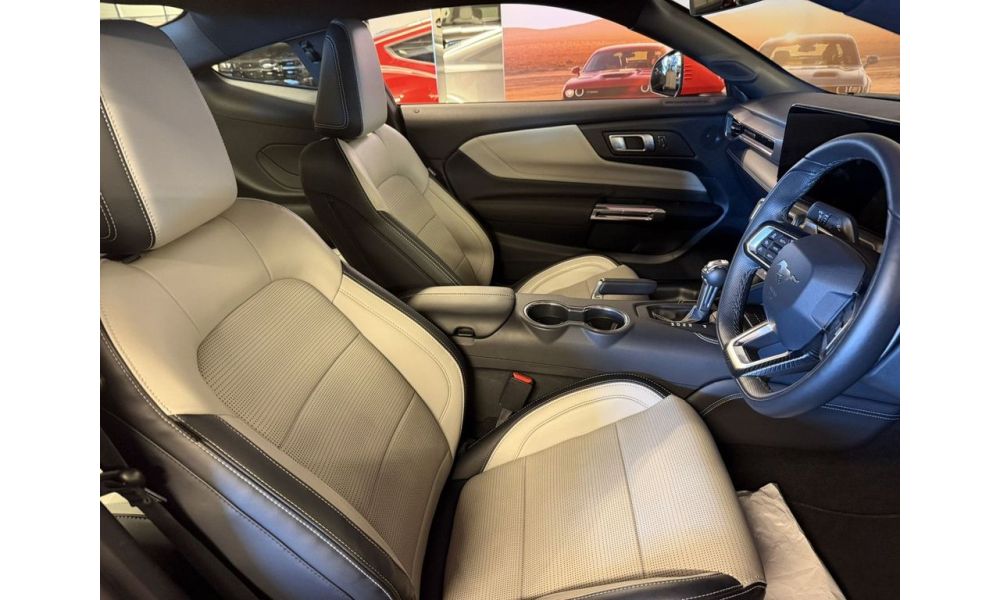 304049