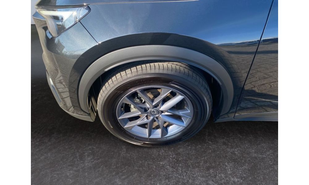 41262