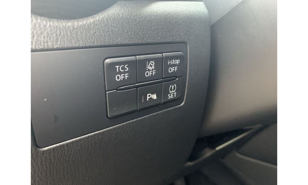 295923