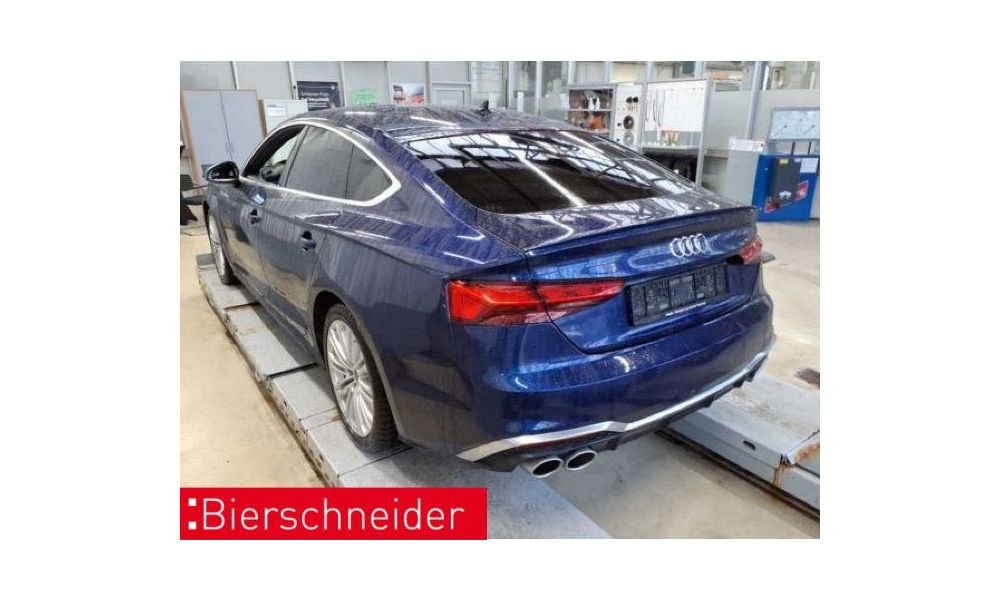 77229