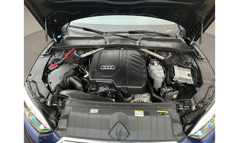 56631
