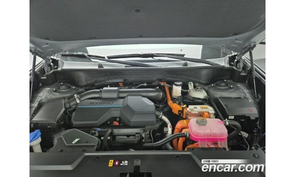 255501